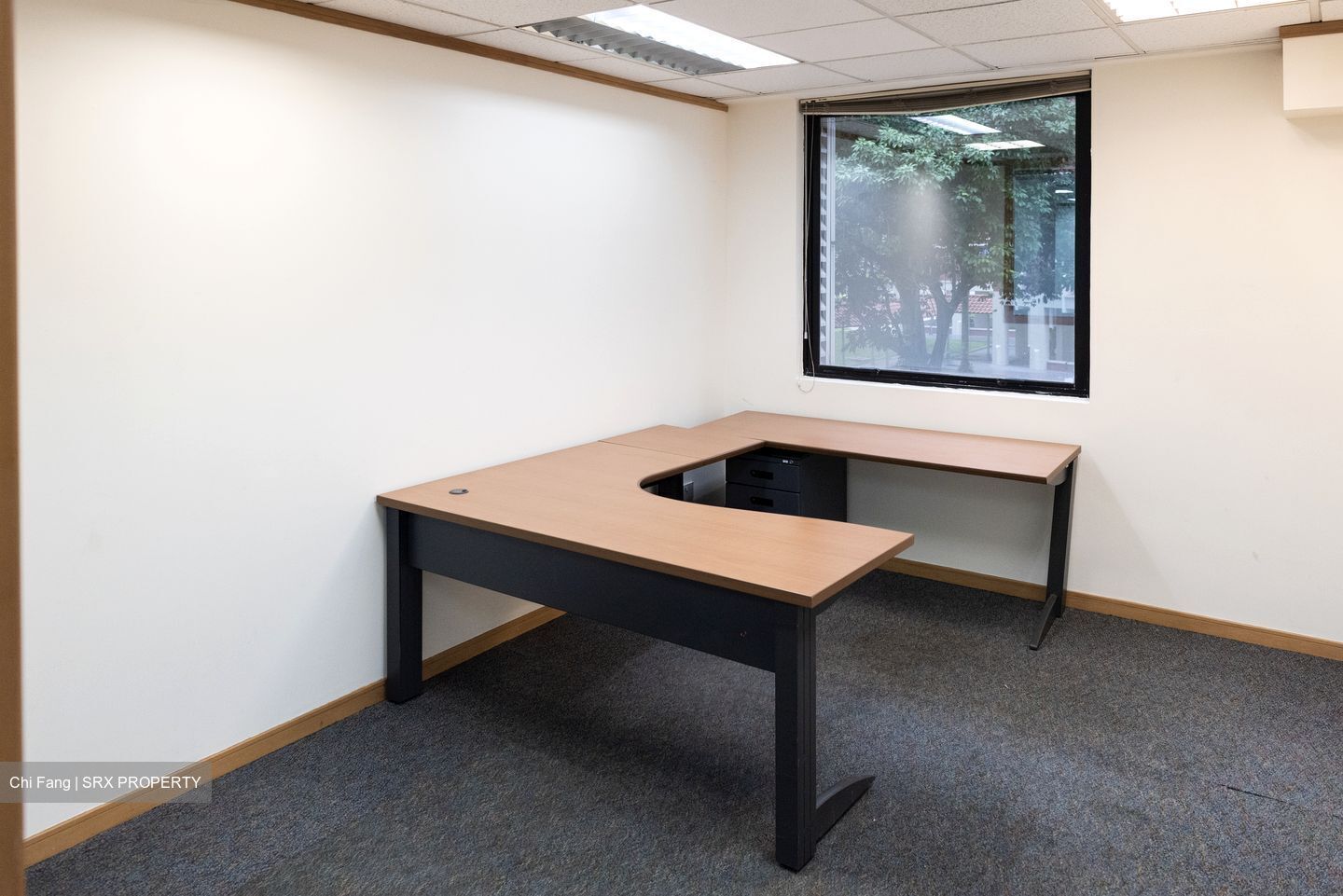 Braddell House (D12), Office #519934071